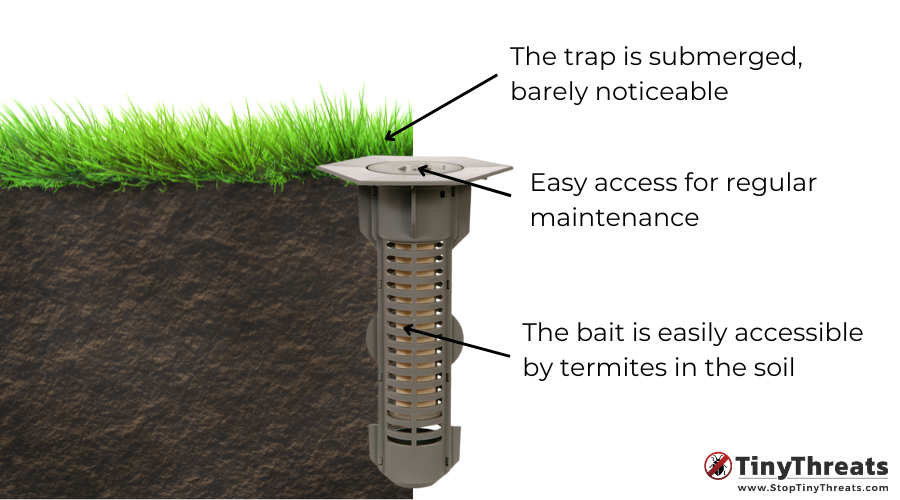 Termite Bait Traps – An Effective System for Termite Control