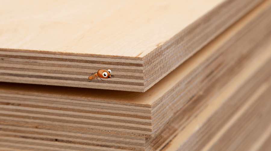 Termite Proof Plywood – Possible or Myth