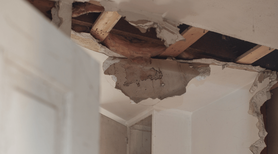 When you see termite damage, it is already too late - visible damage usually means that there is already a huge infestation in your home!